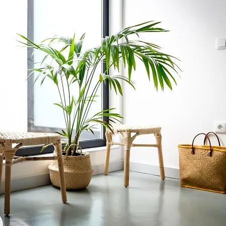 Casa Do Vento By Sweet * Авейру