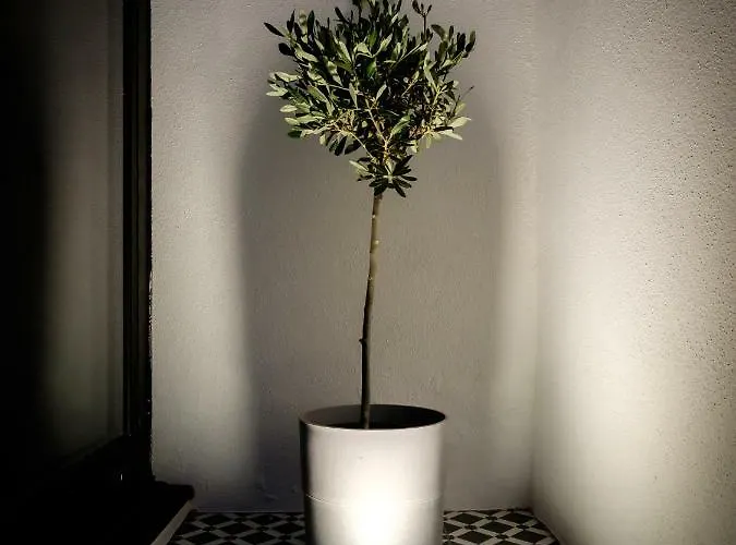 Casa Do Vento By Sweet * Авейру