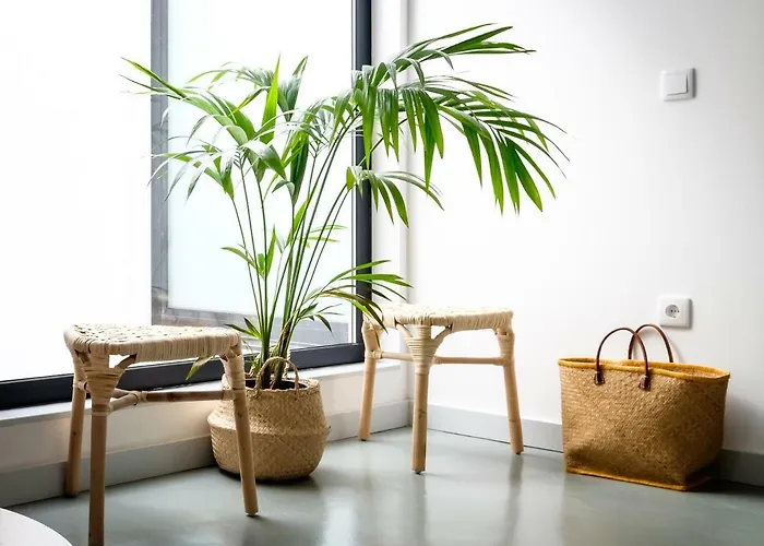 Casa Do Vento By Sweet * Авейру