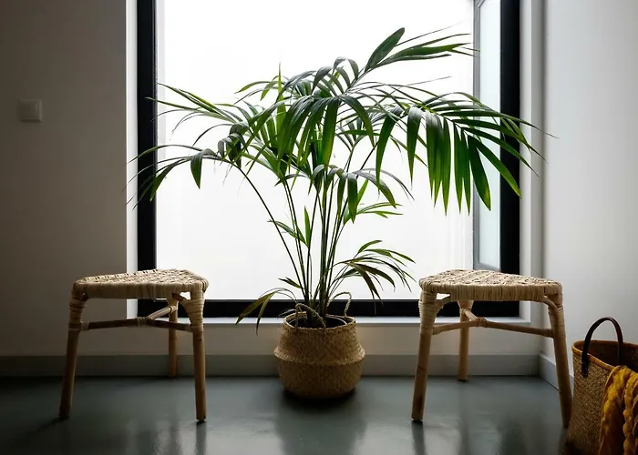 Casa Do Vento By Sweet